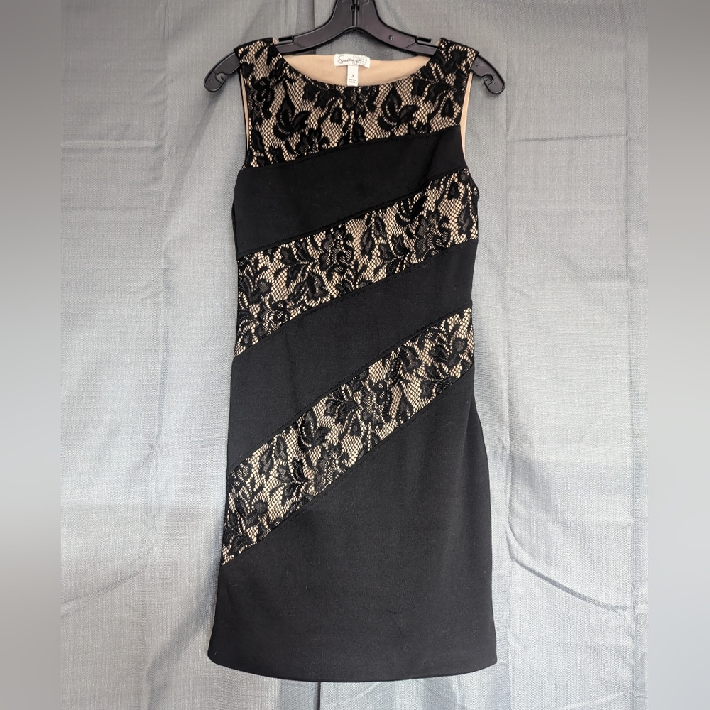 Elegant Black Lace Panel Dress